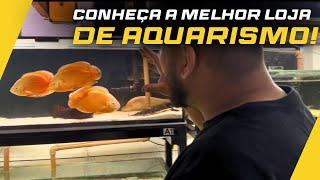 FIZ UM TOUR PELA LOJA E MOSTREI TODOS OS PEIXES RAROS QUE CHEGARAM!!!