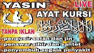 Yasin dan ayat kursi tanpa iklan pengusir setan dan jin, penyembuh penyakit dan pengantar tidur