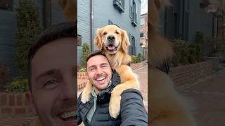 The BEST dog selfie 