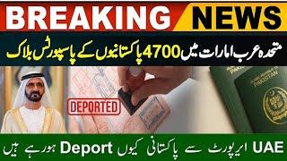 Government Block Passports Of Pakistan Citizens Prisioned In UAE | Breaking News #dubaivisaupdate