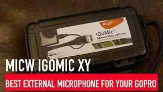 Review: MicW iGoMic Stereo XY External Microphone for GoPro | RehaAlev