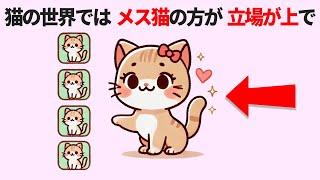 必見！【猫の雑学と秘密50選】驚きとおもしろいあるあるを一挙公開！ #雑学 #豆知識 #トリビア