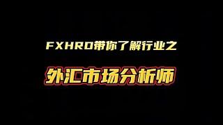 FXHRD带你了解行业——外汇市场分析师#黄金 #外汇 #fxhrd