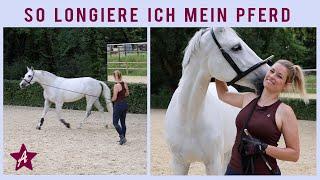 Ohne Ausbinder LONGIEREN I Kappzaum & Bridal I Übungen Faszientherapie an der Longe I Ponyhausen