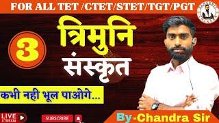 Sanskrit Trimuni || त्रिमुनि|| by- Chandra Sir | for STET/TET/CTET/REET/TGT