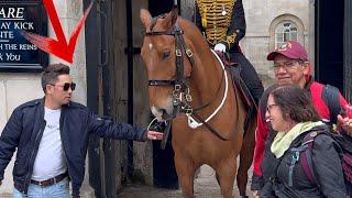 GET YOUR HANDS OFF MY HORSE - King's Guard Yanks Off Reins from Tourist