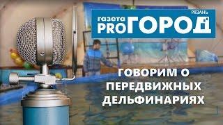 Подкаст от Pro Город Рязань №2 - Говорим о передвижных дельфинариях