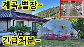 계곡물이 철철철~ 경기도 관광지 5천만원 급인하 급하게 처분 별장 전원주택세컨하우스 농가주택 포천 담터계곡 청청계곡 힐링 휴식 휴양 ~ 헐값에 인테리어 추가 8천만원 시공