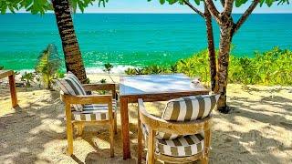 Morning Tropical Beach Cafe Ambience Jazz Coffee with Bossa Nova Music, Ocean Wave Sounds for Sleep