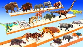 Animals vs Dinosaurs vs Mammoth Elephant Speed Race Run Zigzag Down Course! Super Animal Battle