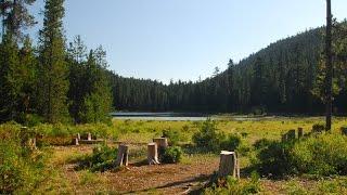 Multiple Bigfoot Scare Fisherman Near Frog Lake, Oregon... PacWest Bigfoot