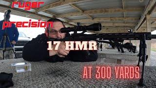 Ruger Precision 17  HMR at 300 yards.