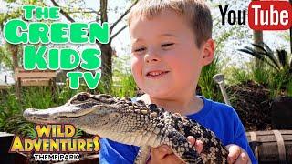 Exploring Wild Adventures Theme Park with The Green Kids TV