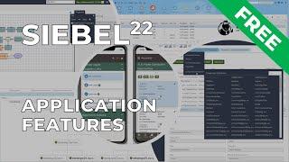Siebel 22: Application Features IP 16 and Higher