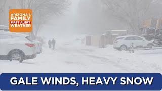 Gale force winds and heavy snow in Flagstaff, northern Arizona cities