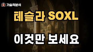 테슬라 SOXL 투자 헷갈릴 땐 이것만 보세요!