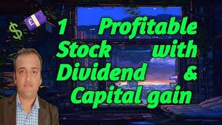 A profitable stock with dividends and capital gains