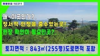 (강화도명가부동산)배산임수의 표본/바다 전망과 산을 배경으로한 최고의 석모도토지/강화도부동산/강화도땅/강화도임야/강화도토지/강화도전/강화도농지/석모도땅.