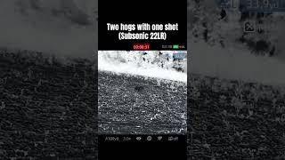 Twenty-Twofer ️@iray_usa RICO RH50R #feralhogs #hunting #invasivespecies