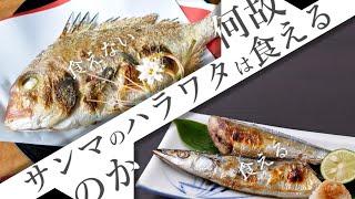 【雑学】なぜサンマのハラワタは食えるのか？