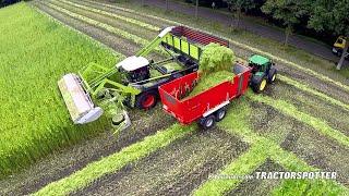 Harvesting fiber hemp | Claas Xerion 4000 | Vezelhennep oogst | DunAgro