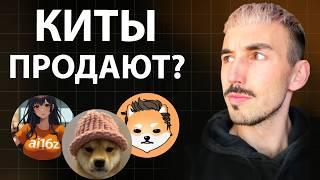 Ончейн Инсайды по WIF, AI16Z и ELON — Что Делают Смарт-Кошельки?