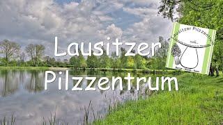 Lausitzer Pilzzentrum   Pilzfreunde stellen sich vor Pilze Special