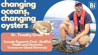 What does a shellfish and oyster expert research? [Bite Scized Conversations with Dr. Tim Green]