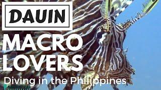 Diving DAUIN - Philippines, Dumaguete underwater 2016 underwater Travel Vlog