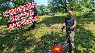 STURMSCHADEN beseitigen & NEUEN Rasenmäher testen| Garden Guy