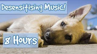 Desensitising Dog Music! Music with Sound Effects to Desensitise Dogs to Noises, Reduce Anxiety!