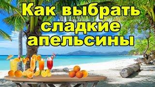 Как выбрать сладкие апельсины | Как выбрать спелые апельсины