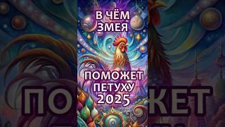 В чём повезет Петуху в 2025 год Змеи? #гороскоп #астрология