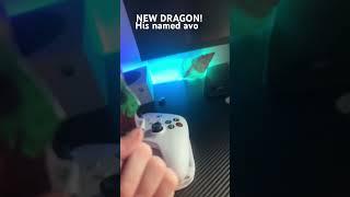 #dragon