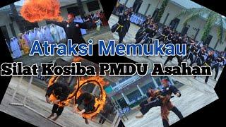 Memukau!!! Atraksi Silat Kosiba PMDU Asahan