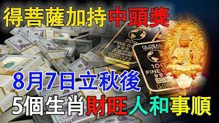 得菩薩加持， 8月7日立秋後，這5個生肖能中頭獎！偏財運極佳！尤其是第二名！一定要去買！【佛語】#運勢 #風水 #佛教 #生肖 #佛語禪心