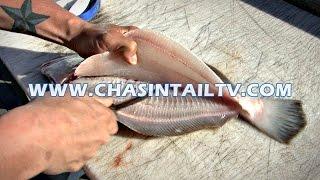 Fillet a Flounder in Under 15 seconds!! | Chasin' Tail TV