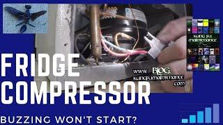 Refrigerator Compressor Buzzing Won't Start Fridge Freezer Stopped Cooling 2025 Remix Repair Tips