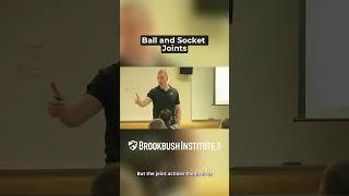 Ball and Socket Joints