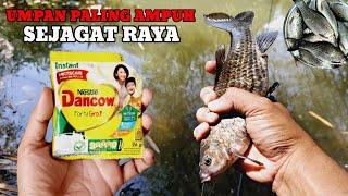 RESEP UMPAN IKAN PALING GALAK DAN NETER ABISSSSS‼️