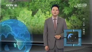 《地理·中国》 20241229 出“大米”的洞穴 | CCTV科教