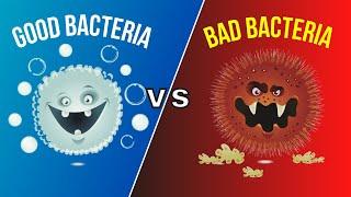 Good Bacteria and Bad Bacteria