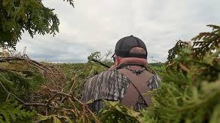 Early Season Canada Goose Hunting in Upstate New York