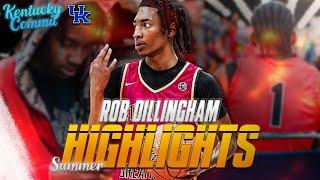 Rob Dillingham Summer Eybl Highlights