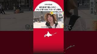 「最高！」「言葉はいらない」…ビールがウマい！カラッとした暑さの中でテレビ塔のビアガーデンは笑顔あふれる_富良野市29.9℃ 札幌26.9℃ 今年一番の暑さの所も＜北海道＞
