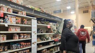 SHOPPING IN PET SMART FOR FISH SUPPLIES