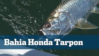 Tarpon In The Keys - Florida Sport Fishing TV - World Famous Bahia Honda Bridge Tarpon Fishing