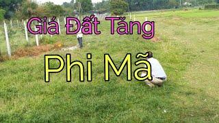 Giá Đất Ở Tăng Phi Mã, Đất Vườn Không Tăng