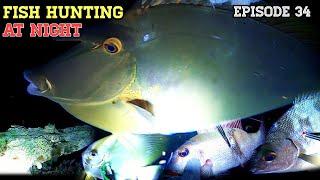 NIGHT SPEARFISHING EPISODE 34 | FISH HUNTING AT NIGHT