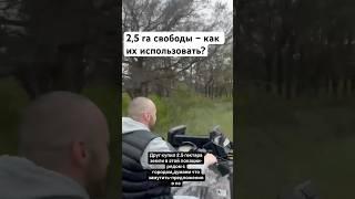 2,5 гектара возможностей – ваши идеи? #земля #участок #инвестиции #недвижимость #бизнес #загород